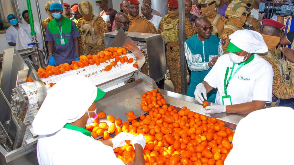 Usine de Transformation de Tomate au Burkina Faso
