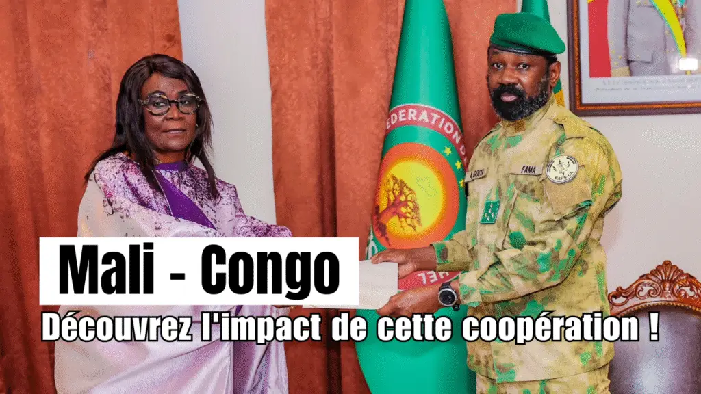 coopération Sud-Sud