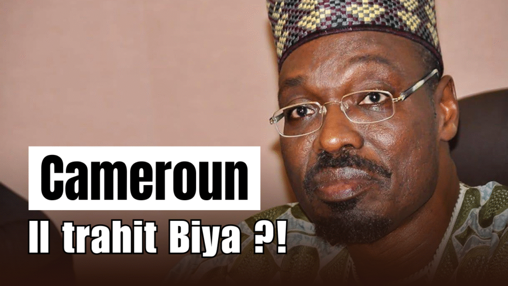 démission de Issa Tchiroma