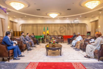 cérémonie de présentation des Lettres de créance au Palais de Koulouba