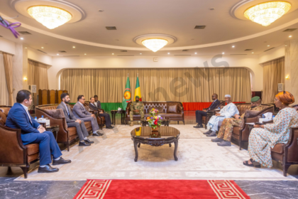 cérémonie de présentation des Lettres de créance au Palais de Koulouba