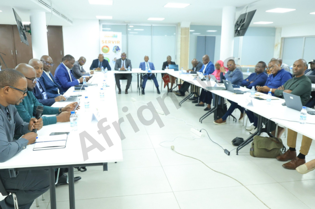 développement du secteur de l’électricité en Afrique
