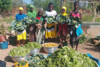 jardin scolaire et alimentation saine