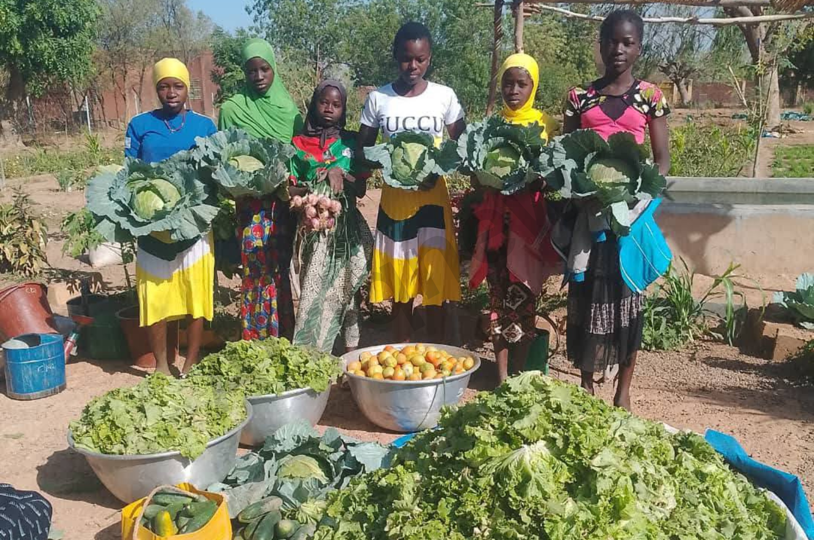 jardin scolaire et alimentation saine