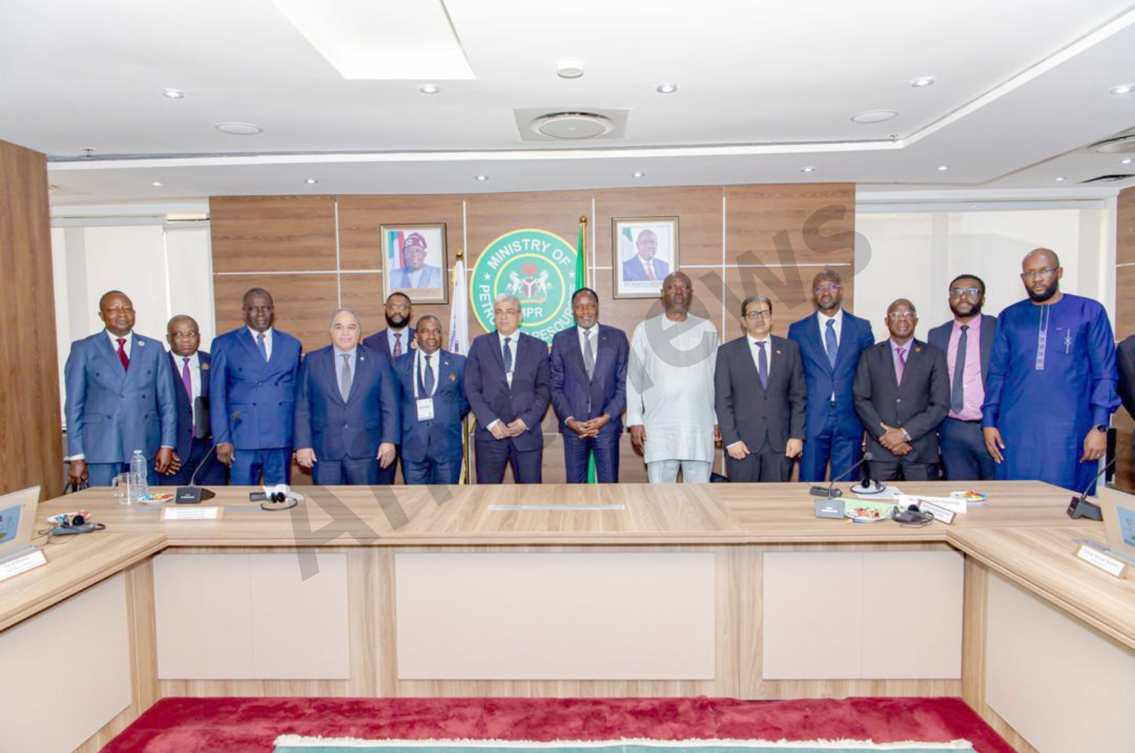 Banque africaine de l'énergie