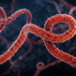 Professionnels de santé mobilisés contre Ebola dans un centre de traitement
