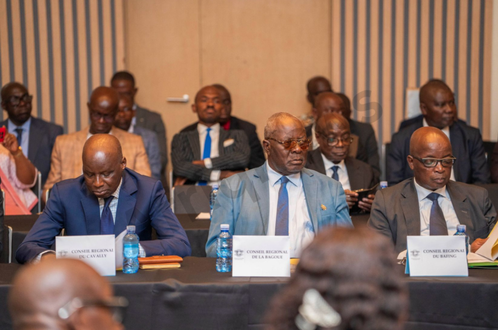 Insertion professionnelle des jeunes en Côte d’Ivoire