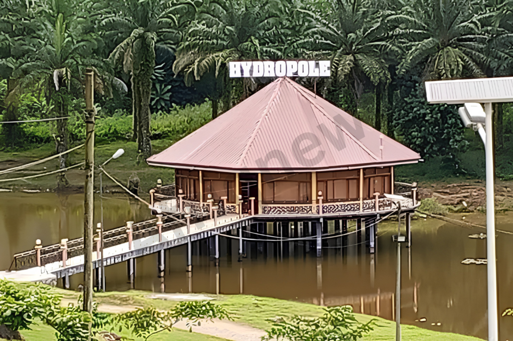 Tourisme au Cameroun avec paysages naturels et patrimoine culturel