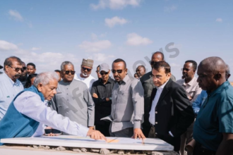 Usine d’engrais en Éthiopie soutenue par Dangote pour renforcer la production agricole locale