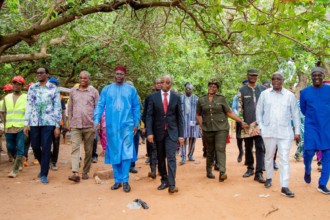Développement local au Bénin à travers les infrastructures marchandes du PDIEM