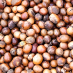 Karité Côte d’Ivoire – collecte et commercialisation des amandes pour la campagne 2026-2027
